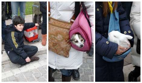 animal-blessings a rabbit trolley, dog and rabbit pouches